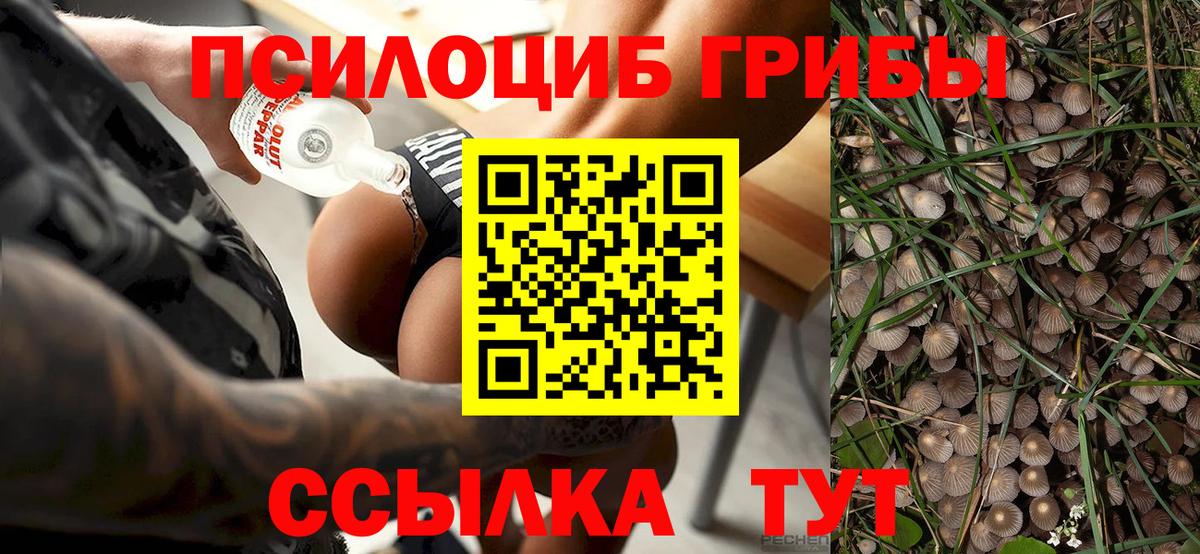 Удомля  Псилоцибиновые грибы мухоморы  Вход с VPN 