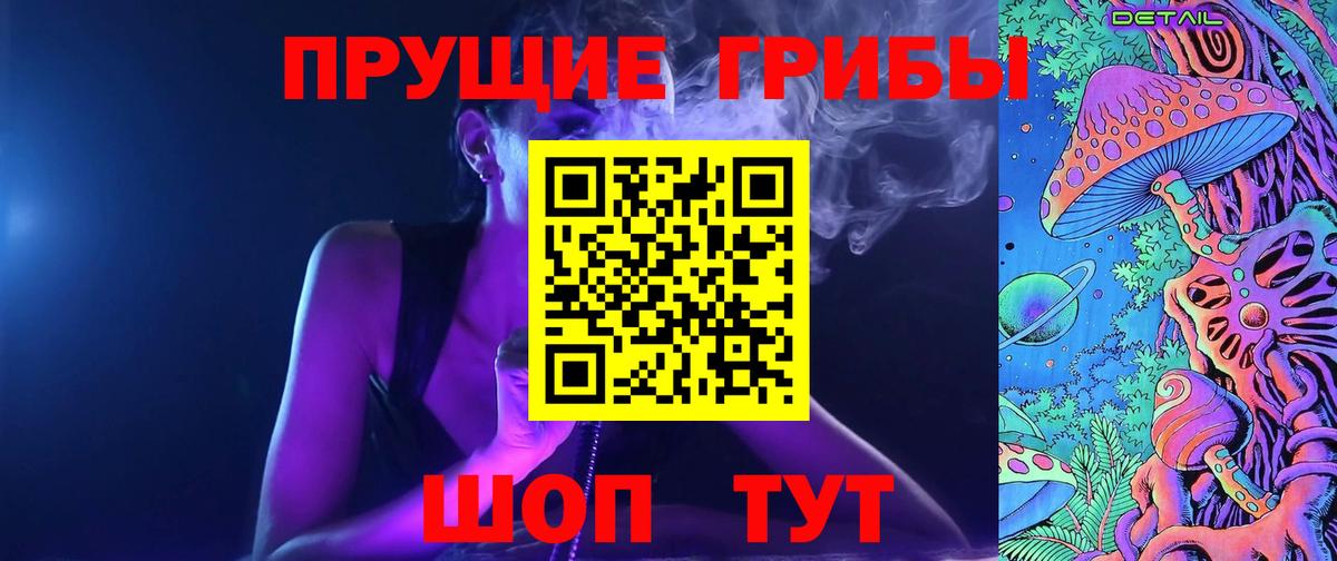 Псилоцибиновые грибы Psilocybe Удомля