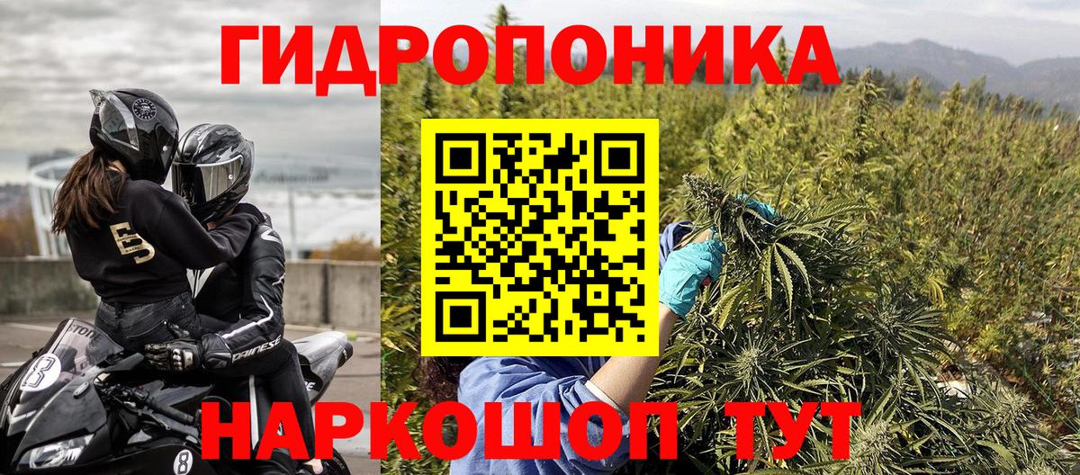 Бошки Шишки SATIVA & INDICA  Каннабис Bruce Banner  Вход с VPN  Удомля  Бошки марихуана марихуана 